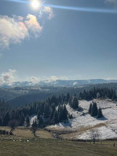 Casa Matis Mărișel (Casa Matis Marisel) in Marisel
