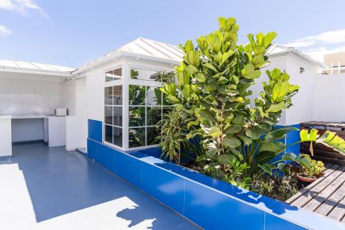 Guest house Villa Neon Tenerife 5