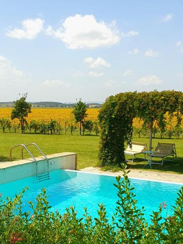 Omgivelser, Cortona Resort-Le Terre Dei Cavalieri in Santa Catarina