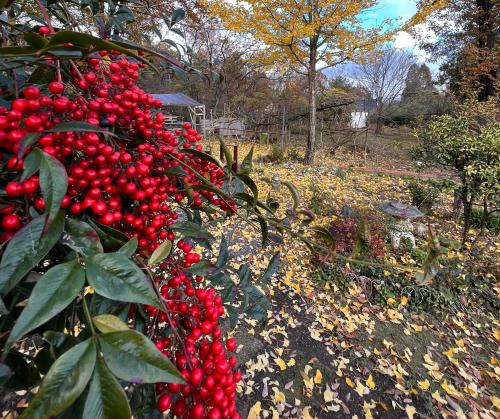 beau lac biwako