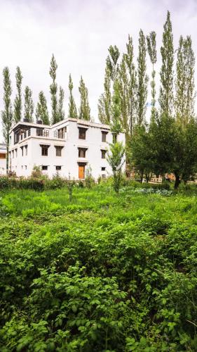 Shel Heritage Home in Thiksey