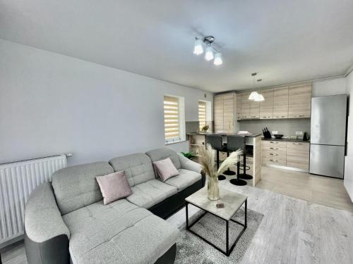 One-Bedroom Apartment image 9