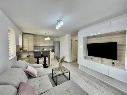 One-Bedroom Apartment image 8