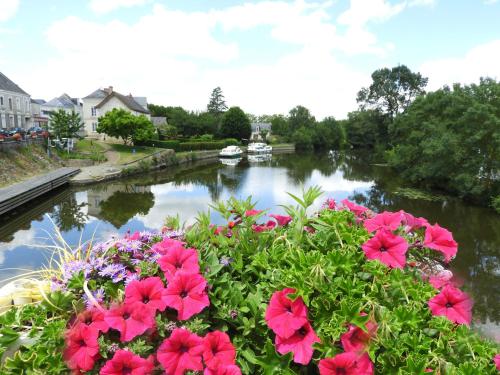 Camping du Lion d'Angers