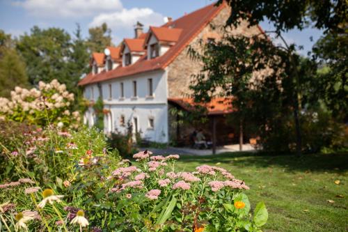 Villa Greta - Accommodation - Świerzawa