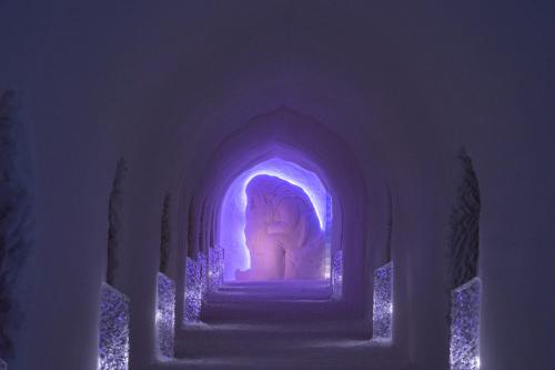 Sorrisniva Igloo Hotel - image 3