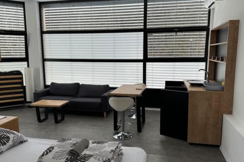 Simba Studio Apartment A in Smarjeske Toplice