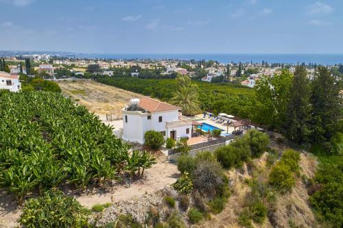 Villa Ambrosia in Coral Bay, Pegeia (fotografie 10)