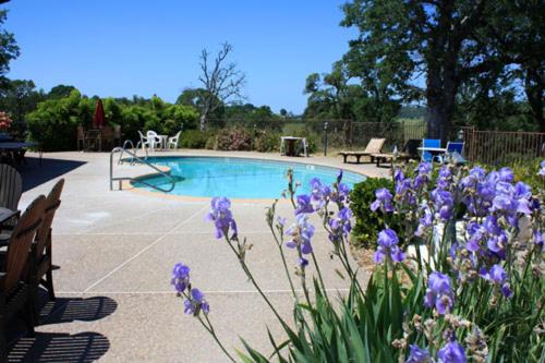 Swimming pool, Shenandoah Inn, MAJOR CREDIT CARDS REQUIRED for check in in Plymouth (CA)