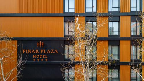Hotel Pinar Plaza in سيوداد لينيل
