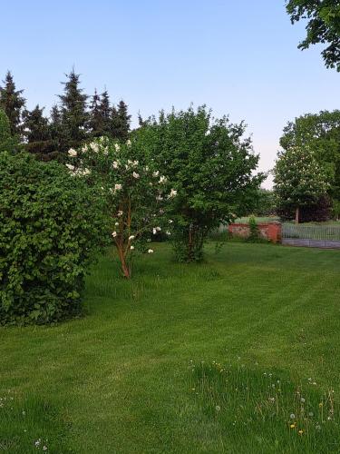 外部景觀, Hof Schumacher in 基里茨