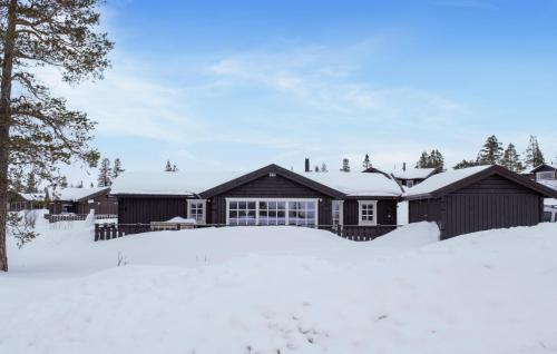 . 4 Bedroom Nice Home In Engerdal