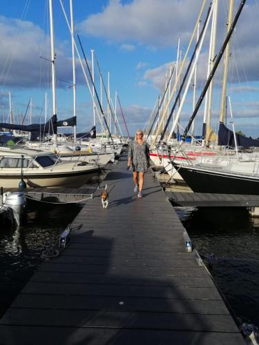 Stacaravan op 5 Sterren Vakantiepark De Kuilart Friesland aan het Meer met Zwembad 5P 116