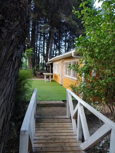 Mi refugio arbolado