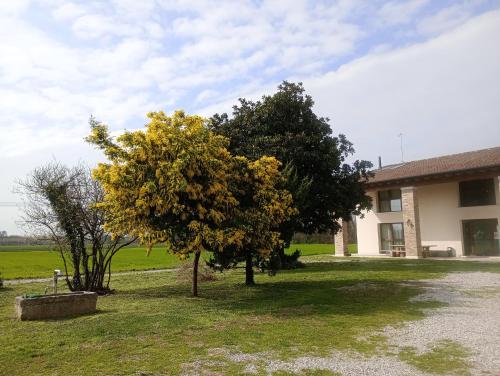 Agriturismo Trabucco