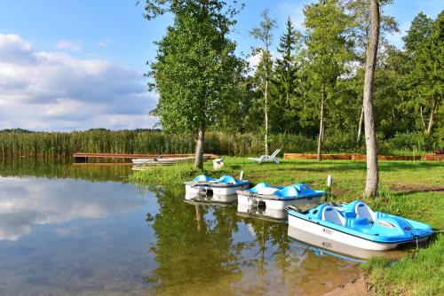 Namas su vaizdu į ežerą "Giliaus Nendrė"