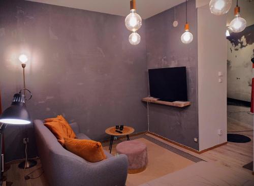 ห้องส่วนกลางสำหรับนั่งเล่น/ดูทีวี, Viihtyisä 27 neliön studio Mikkelin Nuijamiehessä (Viihtyisa 27 nelion studio Mikkelin Nuijamiehessa) in มิคเคอิ