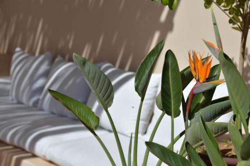 Riad Palau Marrakech - image 8