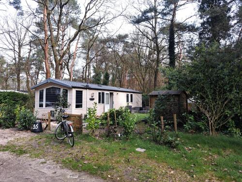 Ruim Chalet, midden in het bos!