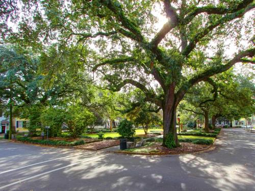 Washington Square Manor – Savannah, GA