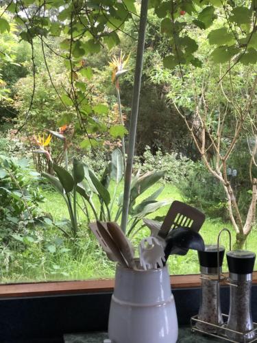 Kahmahnee - Apollo Bay dog friendly retreat