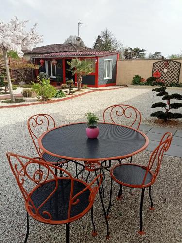 une pause quelque part au jardin des érables et des niwakis - Apartment - Saint-Médard-de-Guizières