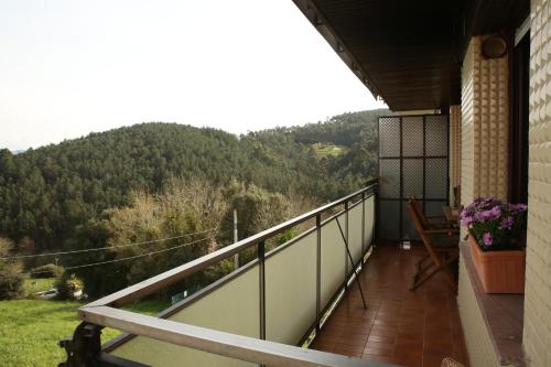 Apkārtne, Zelaia in Mendexa