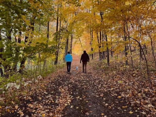 Escape to the Tranquil Beauty at Spitzer Lake in Batlleika (MN)