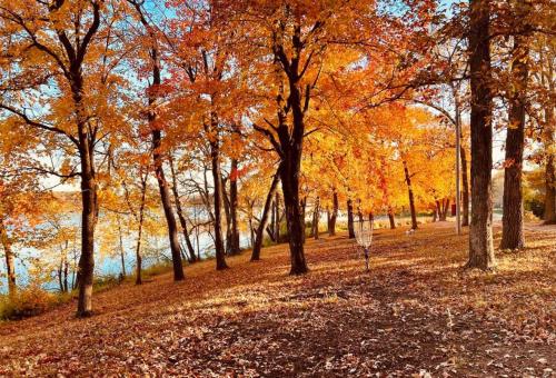 Escape to the Tranquil Beauty at Spitzer Lake in Batlleika (MN)