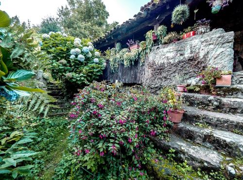 Apartamento en Plena Naturaleza