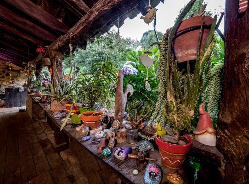 Apartamento en Plena Naturaleza