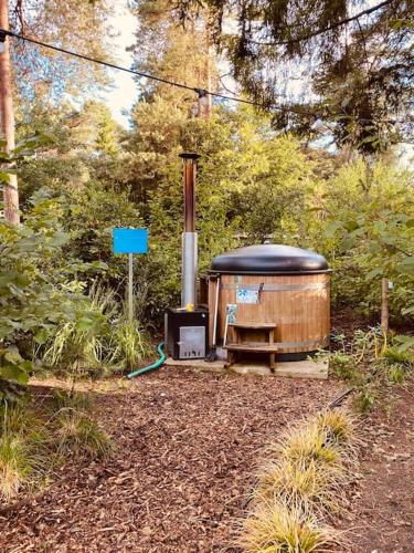 Tiny House met Hottub op de Veluwe