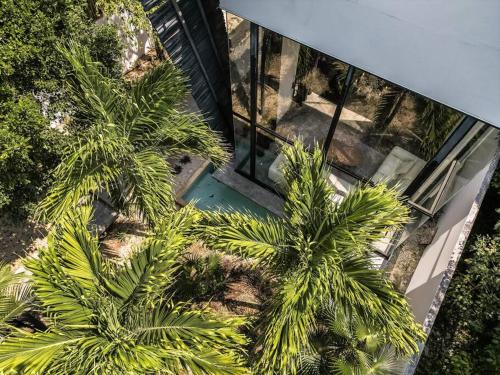 Great Villa Private pool 3BR 8PPL in Tulum, Mexico