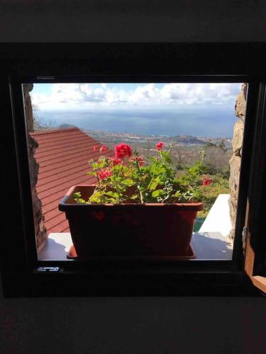 Encantadora Cabaña Rural Vía al Teide