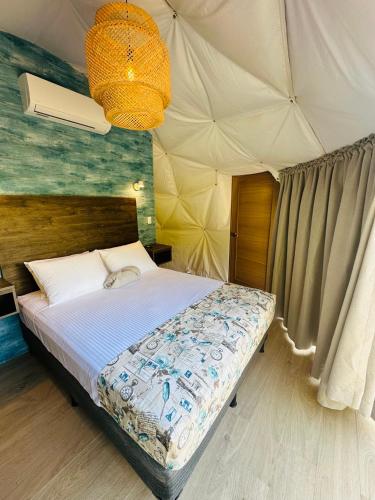 Glamping Tortuga Verde