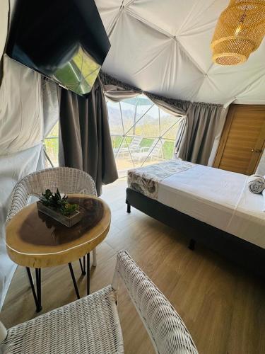 Glamping Tortuga Verde