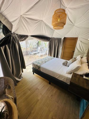 Glamping Tortuga Verde