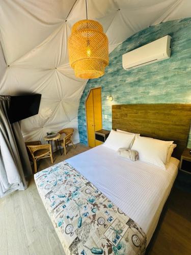 Glamping Tortuga Verde