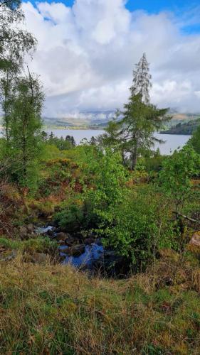 Thistle House Guest House - image 2