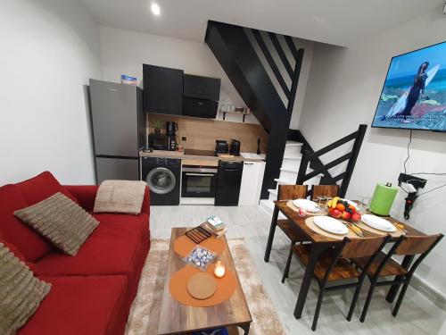 Duplex avec mezzanine au cœur de la ville de nancy - Location saisonnière - Nancy