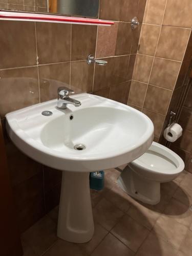 Ciamarra Guesthouse PET FRIENDLY dog and cat accepted 2