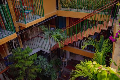 ガーデン, Hotel La Casona de Getsemani in カルタヘナ