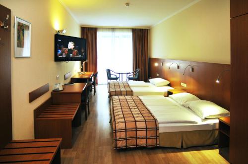 Continental Hotel-Pension - Accommodation - Vienna