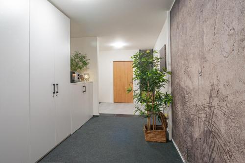 STING Apartments Havířov - main image