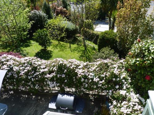Kert, Ligita's Homestay in Havelock