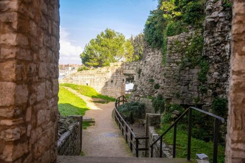 Apartments in Porec - Istrien 49823 - image 5