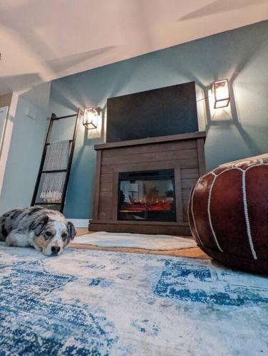 Hound Haven! Cozy Denver Getaway next to Dog Park!