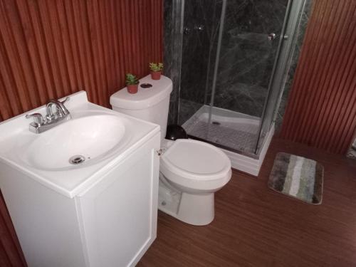 Glamping Don Delfis in Valle de Bravo, Mexico
