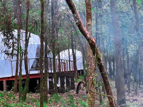 Glamping Don Delfis in Valle de Bravo, Mexico
