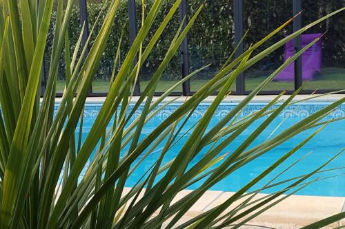 Villa de 5 chambres avec piscine privee jardin clos et wifi a Firfol